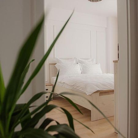 Modern Apartment In Timişoara Buitenkant foto