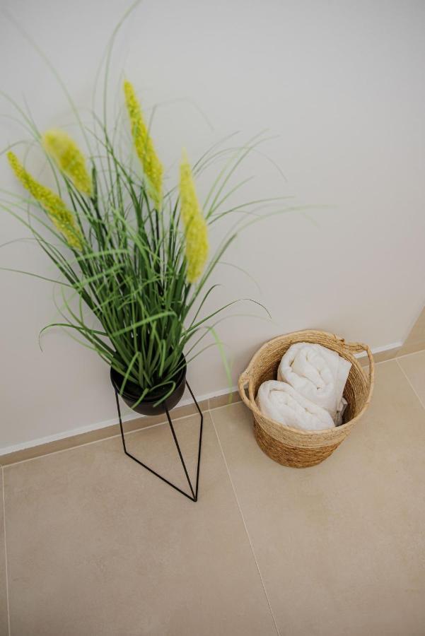 Modern Apartment In Timişoara Buitenkant foto