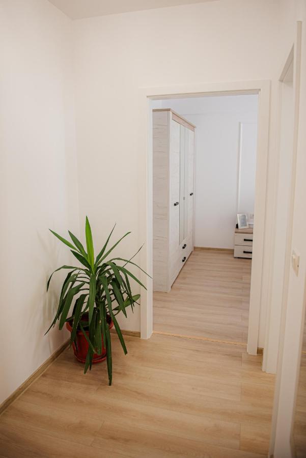 Modern Apartment In Timişoara Buitenkant foto