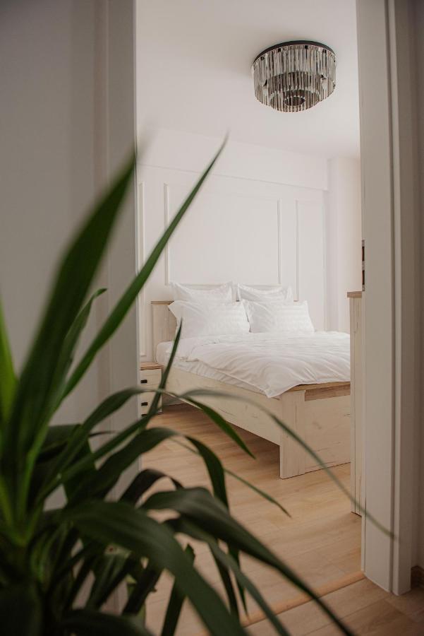 Modern Apartment In Timişoara Buitenkant foto